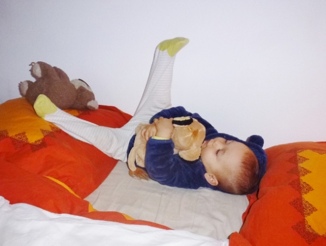 maman-lion-sommeil-lionne-ressemblance-jeux-bebe-sieste
